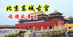黑丝美女黄色喷水视频中国北京-东城古宫旅游风景区